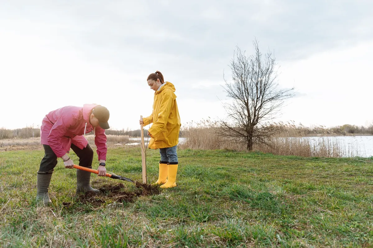 Riverbank Tree Planting That Survives Its First Summer: A Step-by-Step Restoration Guide