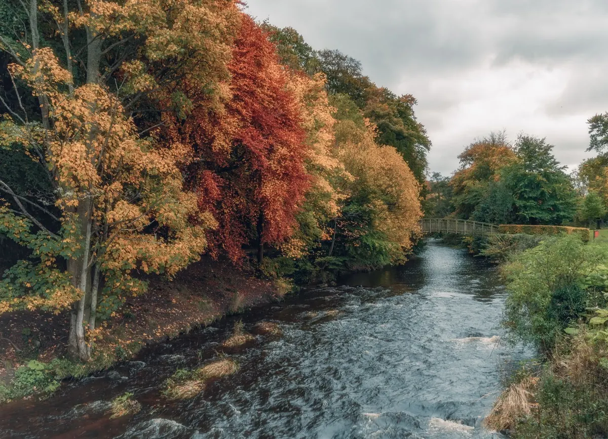 What to Watch For on the Wye Month by Month: A Seasonal Wildlife Calendar